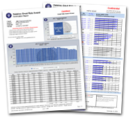 Competitive Analysis Report